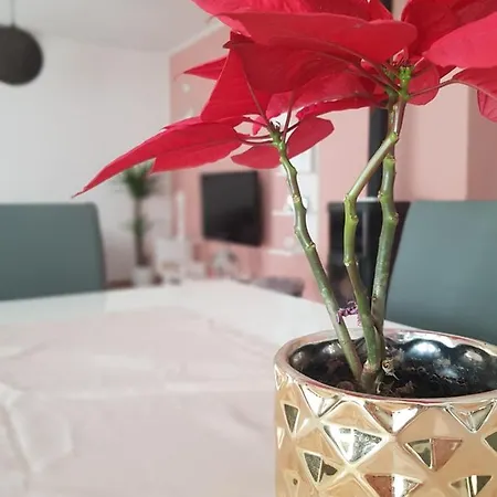 Milutin Appartamento *