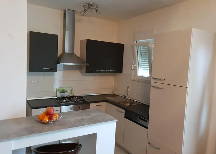 Milutin 布罗达里卡