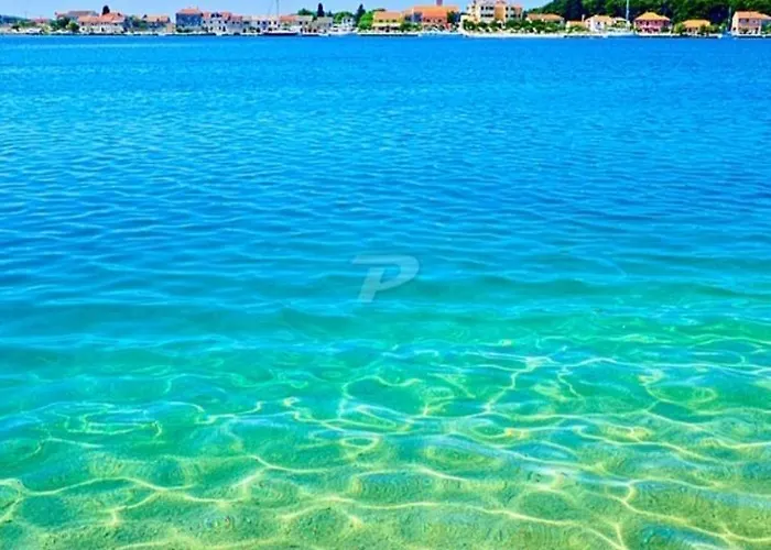 公寓 Milutin 布罗达里卡