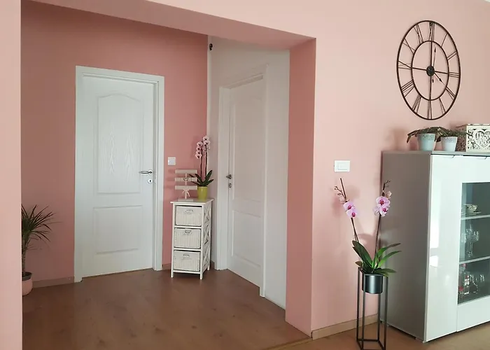 Milutin 公寓 布罗达里卡