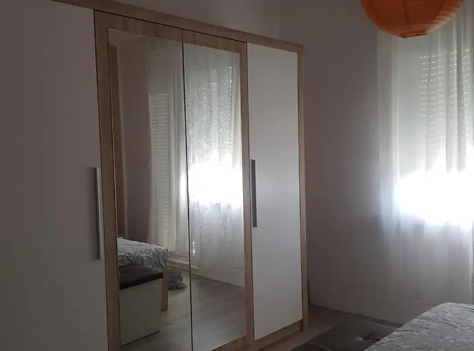 Milutin 布罗达里卡